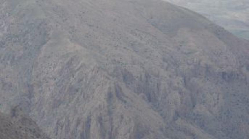 Sarıkamış'ta Jandarmaya El Bombalı Saldırı: 2 Asker Yaralı