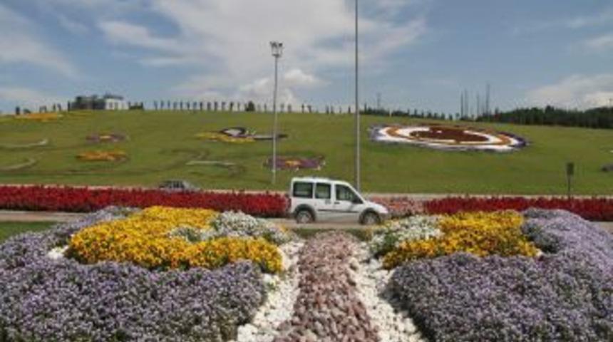 Denizli Rengarenk &Ccedil;i&ccedil;ek A&ccedil;tı