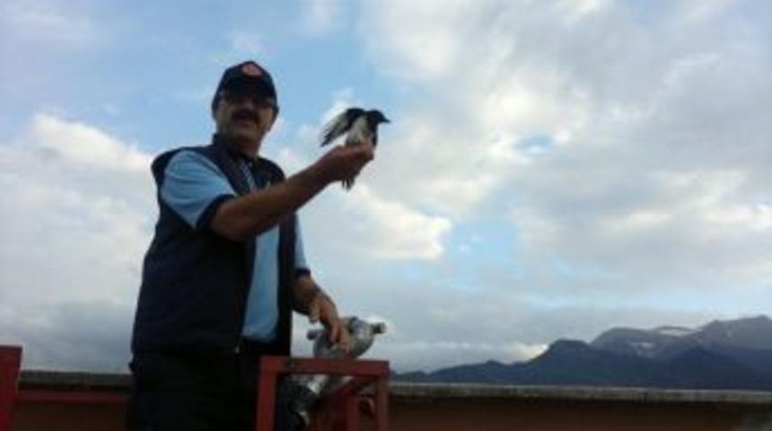 &Ccedil;atı Arasından 'kuş' Kurtarma Operasyonu