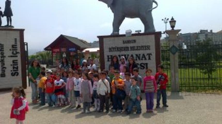 Ayvacıklı Minikler Samsunda Eğlendi