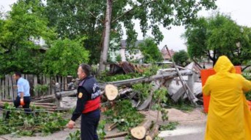 Yıldırım Düşen Ağaç Otomobilin Üzerine Devrildi