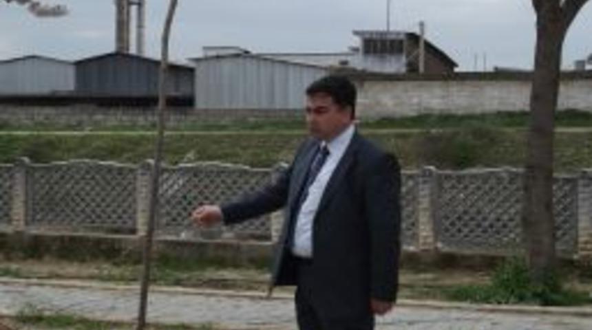 K&ouml;şk Belediyesi'nde 'yeşil' Seferberliği