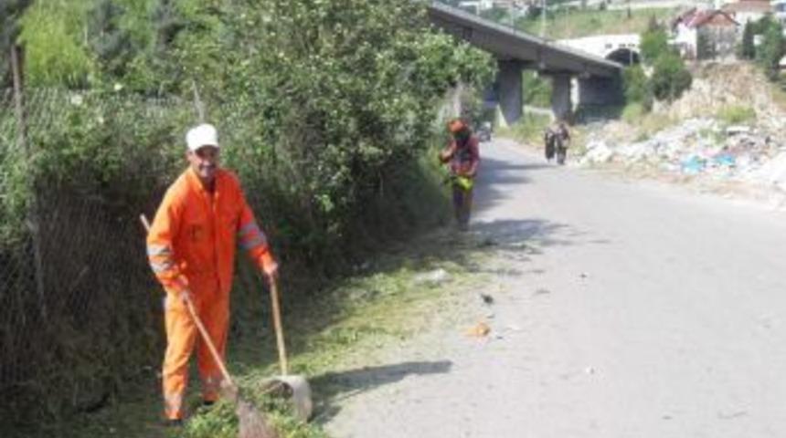 Yangına Karşı Otlar Kesiliyor