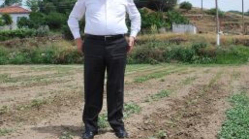 Bıyıklılı Kavun &Uuml;reticisi Bu Yıl Sezondan Umutlu