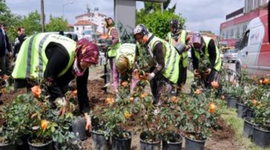 Isparta Festivale Hazırlanıyor