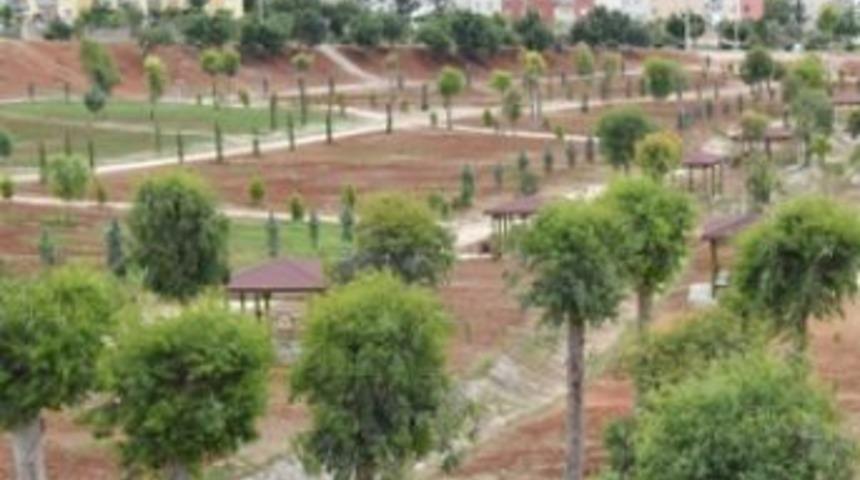 Toroslar Mersin&rsquo;in oksijen deposu oldu