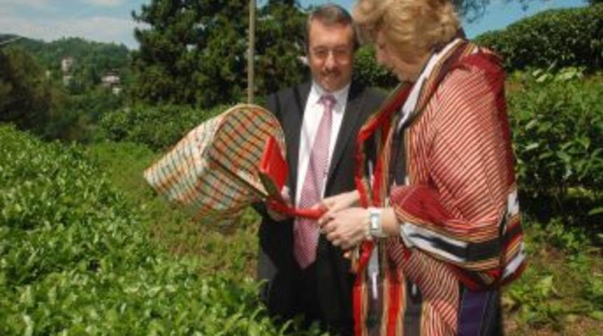 Amerikalı Yazar Katharine Branning, Rize&rsquo;de