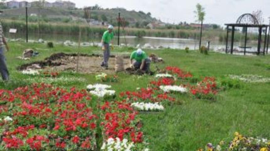 G&ouml;lbaşı Şenlik I&ccedil;in Hazırlanıyor