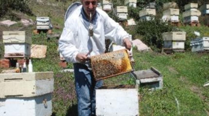 Ereğli&rsquo;de Uygulamalı Arı Yetiştirme Eğitim İstasyonu Kurulacak