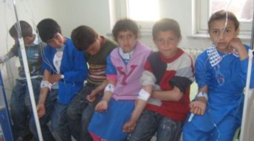 Zehirli s&uuml;t Kağızman'da