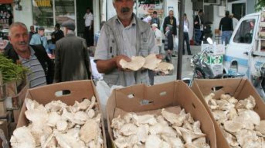 Erzincan'da Mantar, Et Fiyatlarını Ge&ccedil;ti