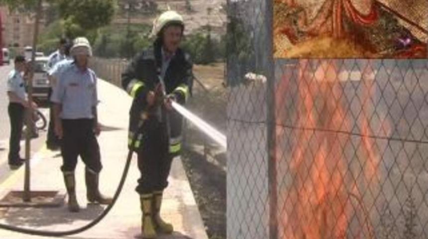 Krali&ccedil;e bu kez de kurtuldu...