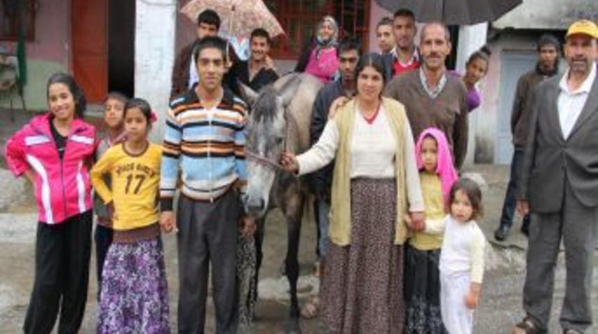 Merdivenleri &Ccedil;ıkan At G&ouml;renleri Şaşırtıyor