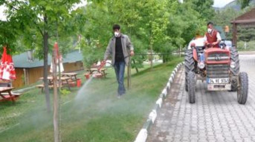 Tosya Belediyesi Kene İle Mücadeleye Başladı