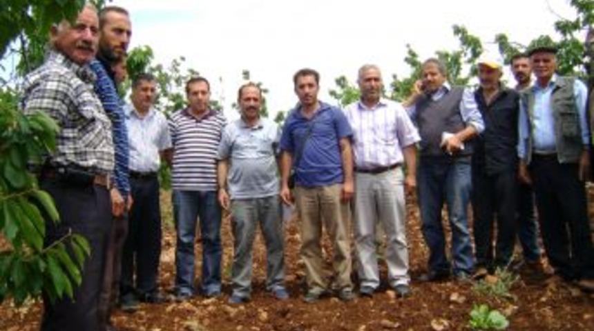 Kiraz Entegre M&uuml;cadelesi Başladı