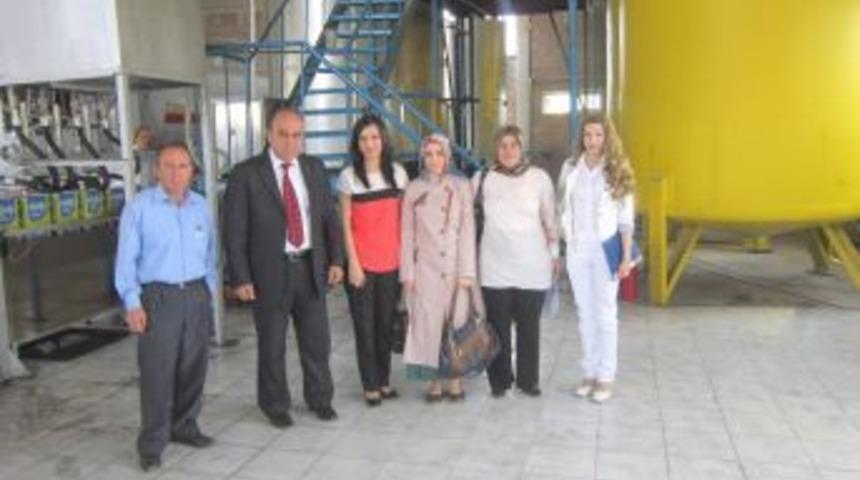 Meslek Danışmanları İşverenleri Bilgilendiriyor