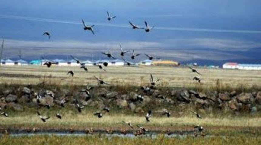 Kars Kuyucuk G&ouml;l&uuml; "kuş Cenneti Projesi"  İle Yeniden Hayat Bulacak