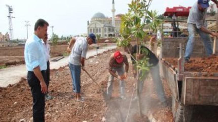 Toroslar İl&ccedil;esi Yeşilleniyor