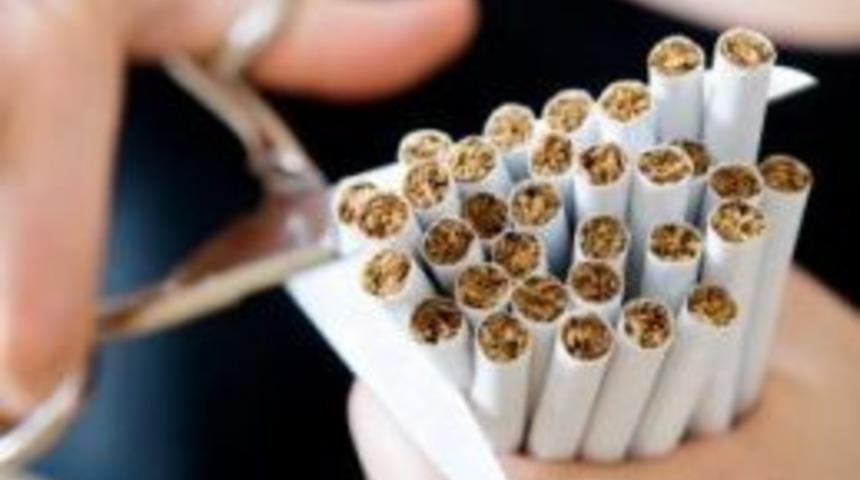 Sigara sağlığa da b&uuml;t&ccedil;eye de zarar veriyor