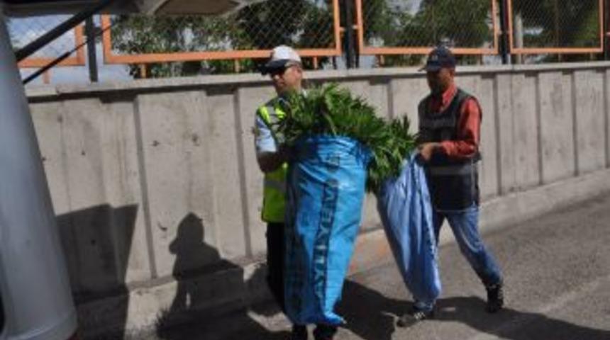 Bah&ccedil;ede Kenevir Operasyonu