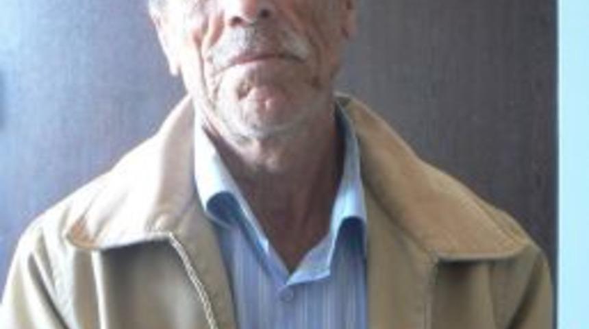 Kulp'ta Esrarengiz Hayvan Kayıpları