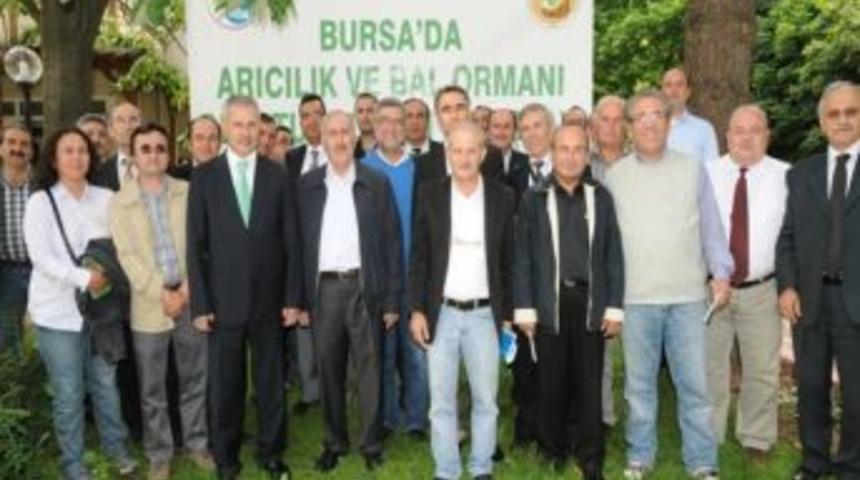 Arıcılıkta Dünya Ortalamasının Gerisindeyiz