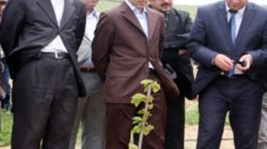 Köyde 'bahçe Günü' Etkinlikleri