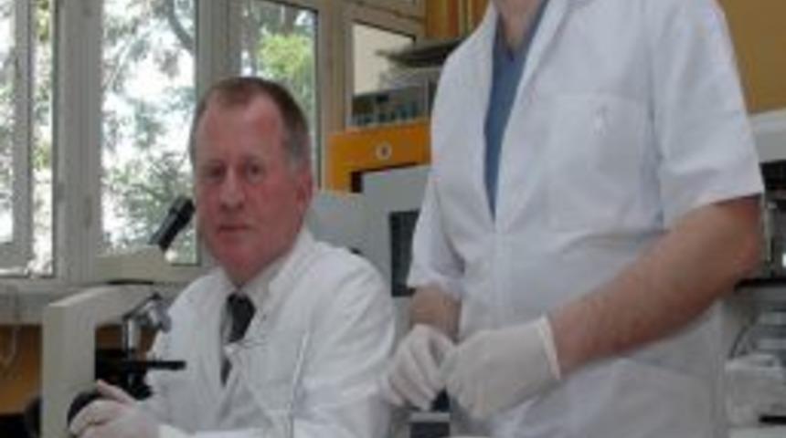 Ağız Ve Diş Sağlığında Tedaviyi Kolaylaştıran Yeni Buluş