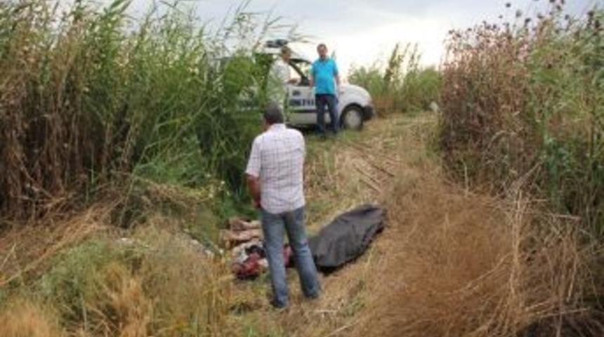 &Ouml;ld&uuml;r&uuml;len Şahsın Kimliği Belirlendi 2 Kişi G&ouml;zaltında