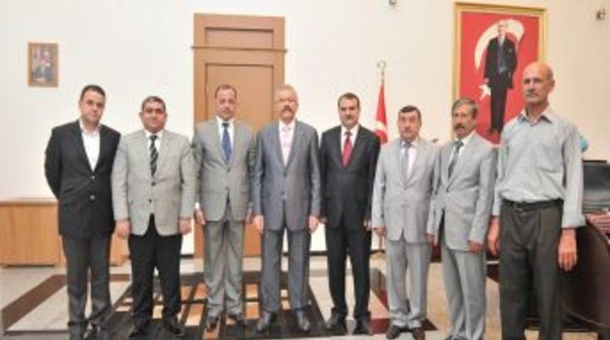 Osmaniye'ye Zeytincilik Gelişecek
