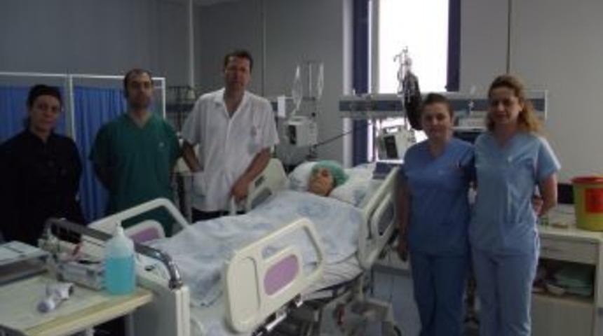 Seah Akademik Kadronun Meyvelerini Topluyor