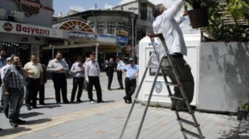 Şehir Merkezinde Arı Operasyonu