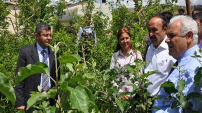 Entegre Kırsal Kalkınma Programı Işbirliği Protokol&uuml; Imzalandı