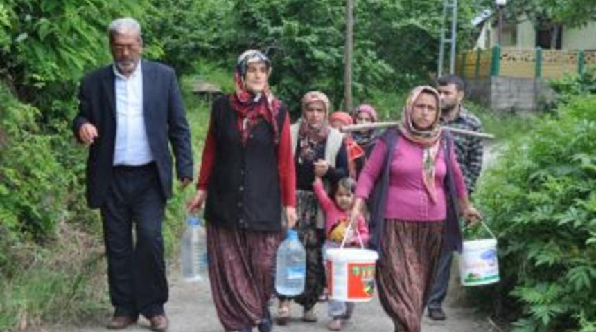 "Oy yoksa, su'da yok"