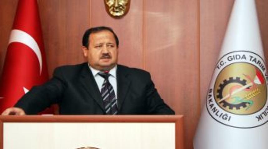 Ana&ccedil; Sığır Ve Buzağı Destekleri, Hesaplara Yatırılıyor