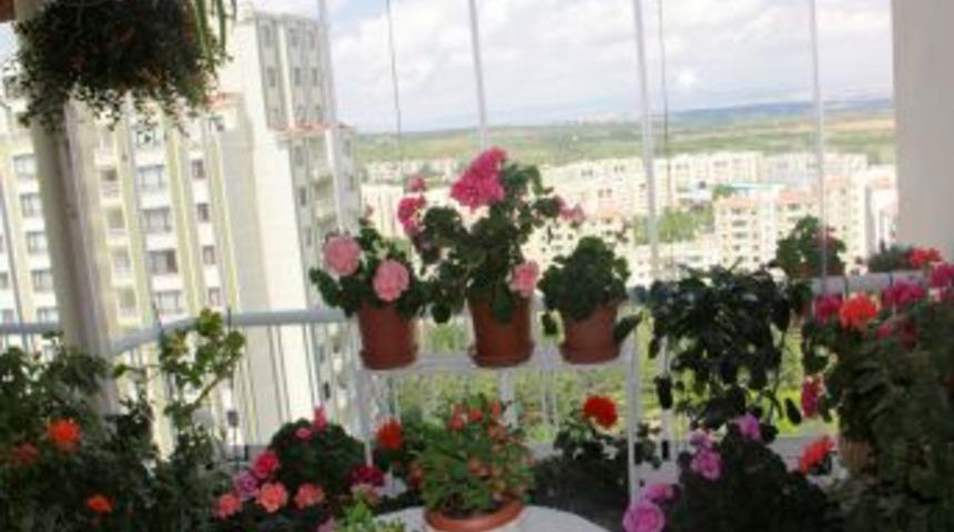 &Ccedil;ankaya'da "bah&ccedil;e D&uuml;zenleme Yarışması"