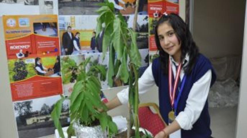 Zehirli Bitkiden M&uuml;rekkep &Uuml;retti