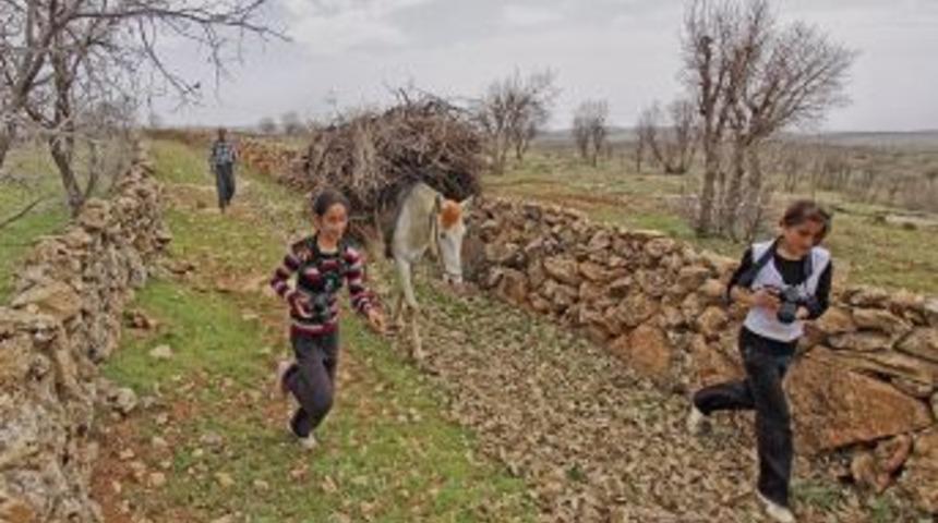 &Ouml;ğrencilerden Fotoğraf Sergisi