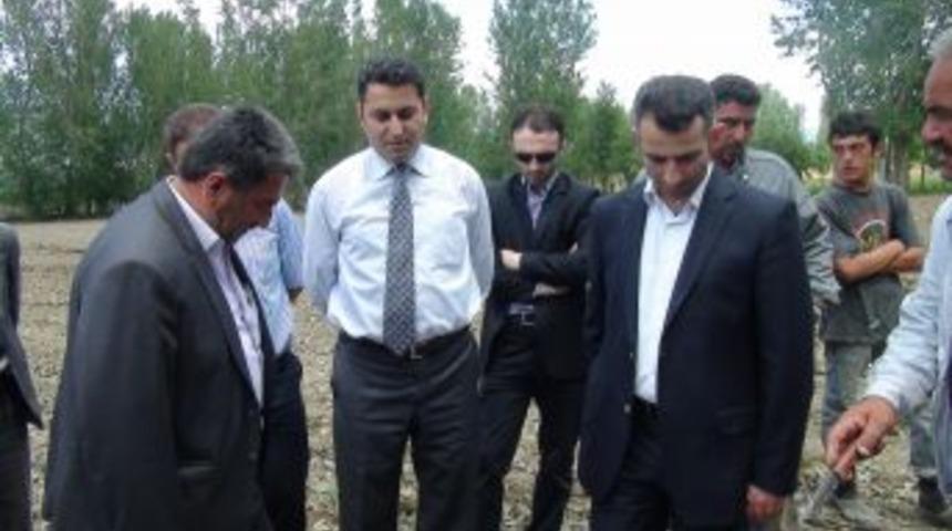 Tokat'ta Dolu Yağışı 5 Bin Çiftçiyi Etkiledi