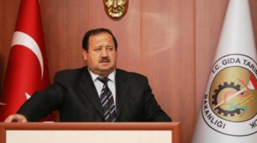 Anaç Sığır Ve Buzağı Desteklemesi Ödemeleri