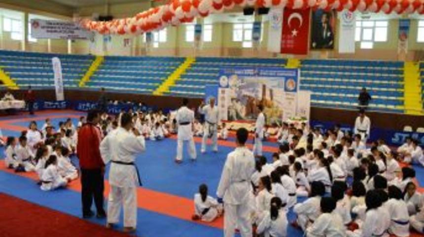 500 Karateci Aynı Anda Tatamiye &Ccedil;ıktı