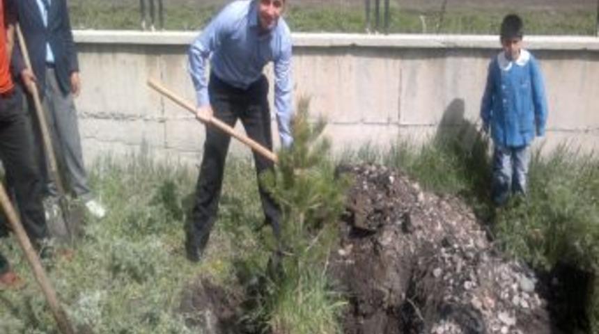 Şehit Yılmaz Bilgin İlk&ouml;ğretim Okulunun Bah&ccedil;esi Yeşillenecek