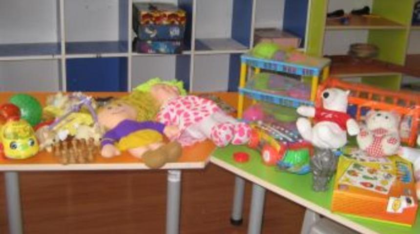 T&uuml;rk Anneler Derneği Kayseri Şube Başkanı Fikriye Merdan: