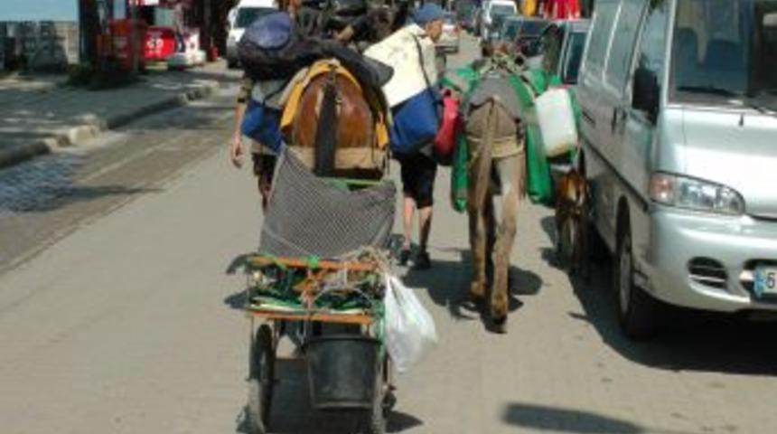 Eşek Ve Katırla Fransa'dan Yola &Ccedil;ıktılar