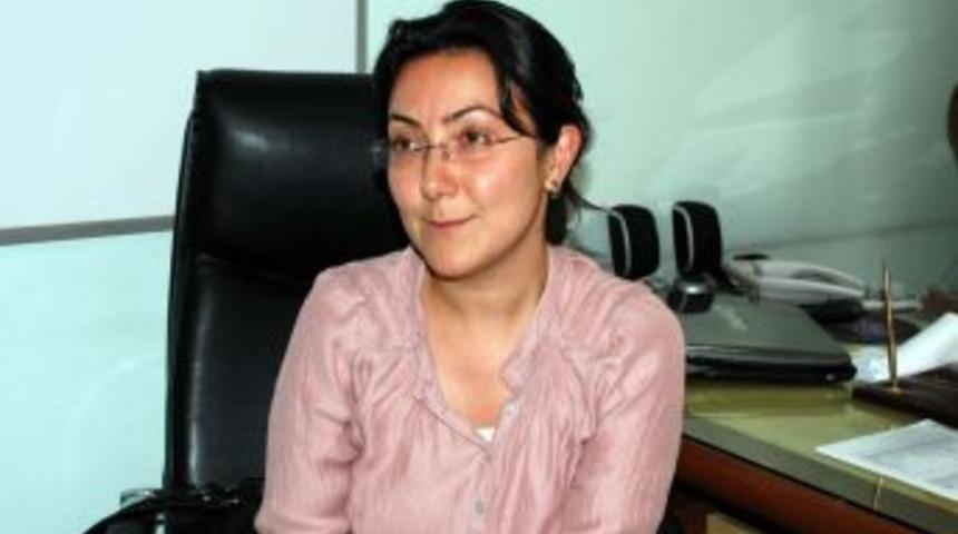 Toz Bulutu Midyat'ı Etkisi Altına Aldı