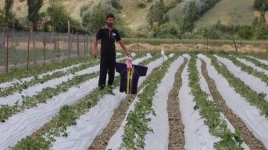 Batmanlı &Ccedil;ift&ccedil;i, Fenerbah&ccedil;e Formasını Tarlada Korkuluk Yaptı