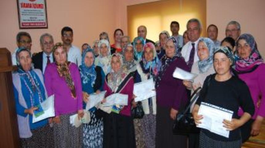 Narenciyeleri Sertifikalı Iş&ccedil;iler Toplayacak