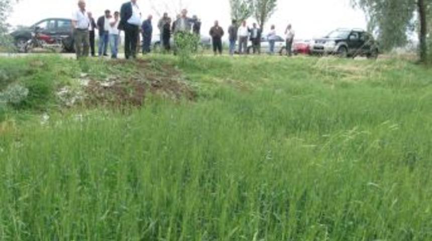 Dolu Ekili Alanları Vurdu