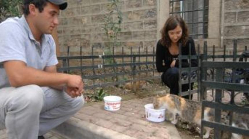 Bursa'da Sokak Hayvanları A&ccedil; Kalmayacak