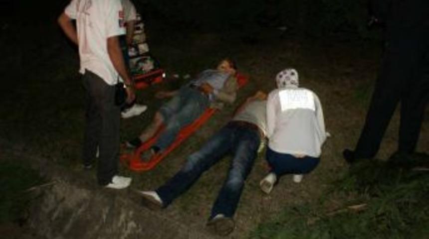 Otomobil Bariyerlerden &Ccedil;i&ccedil;ekliğe U&ccedil;tu